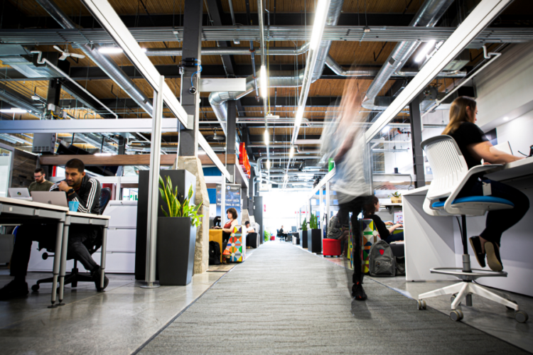 Workers in a tech office