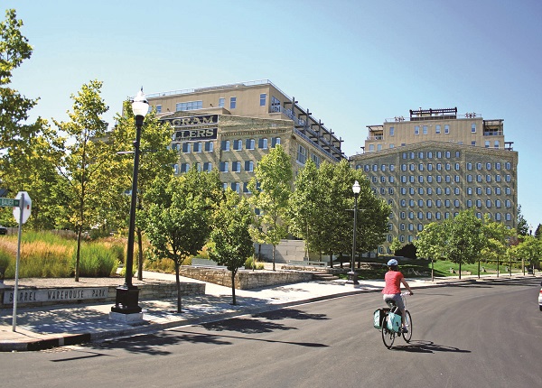 Waterloo cityscape in the background with a person riding a bike