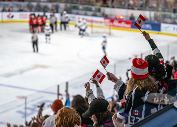Crowd cheers at an ice hockey game