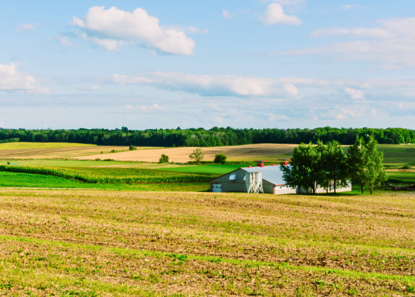 Welcome to Wellesley Township in Waterloo Region